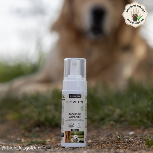 Mousse Lavante pour Chien et Chat – Shampooing Sec Sans Rinçage bio produit