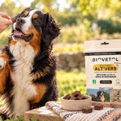 Bouchées Alt’Vers pour Grand Chien 2