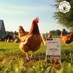 Pipettes Anti-Poux et Anti-Acariens pour Poules – Format économique 2