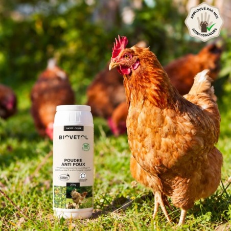 Poudre Anti-Poux et Anti-Acariens pour Poules bio produit