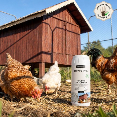 Poudre Diatomée+ pour Poulailler bio produit