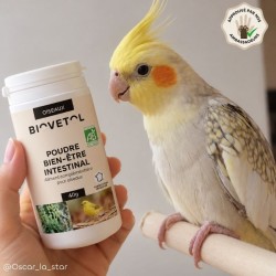 Poudre Bien-Être Intestinal pour Oiseaux bio 2