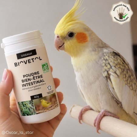 Poudre Bien-Être Intestinal pour Oiseaux bio produit