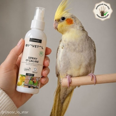 Spray O’Calme Oiseaux BIO – Parfum d’Ambiance Relaxant bio produit