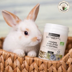 Poudre Bien-Être Intestinal pour Rongeurs et Petits Mammifères bio 2