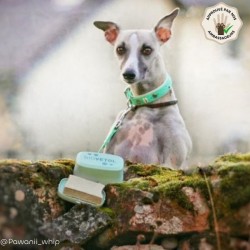 Pack Shampooing Solide Tous Pelages et sa boîte 2