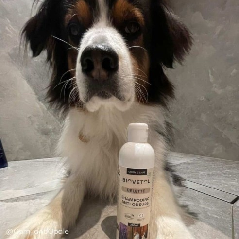 Shampooing Anti-Odeurs BIO Personnalisé pour Chien et Chat produit