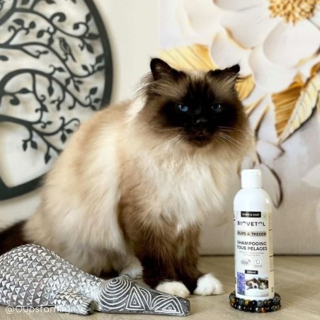 Shampooing Tous Pelages BIO Personnalisé pour Chien et Chat ambassadeur chat
