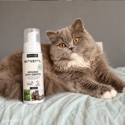 Shampooing Sec Chien et Chat Sans Rinçage – Mousse Anti-Gratte bio 2