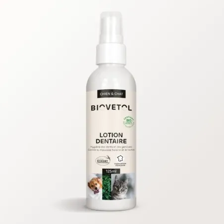 Lotion Dentaire