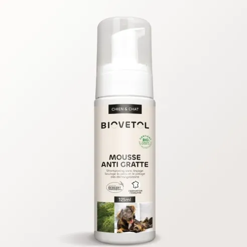 Mousse Anti-gratte