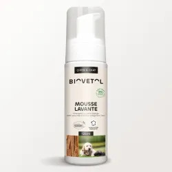 Mousse Lavante