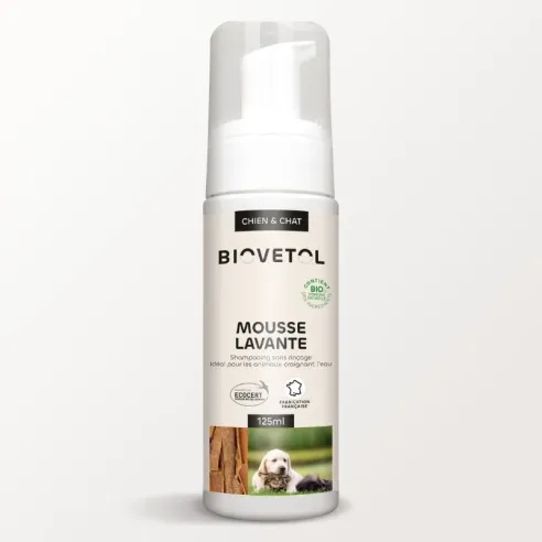 Mousse Lavante