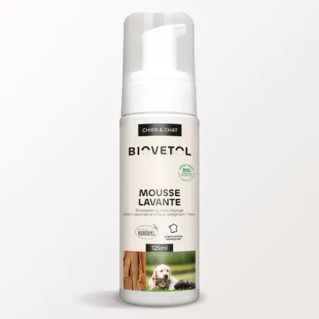 Mousse Lavante