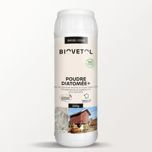 Diatomée +