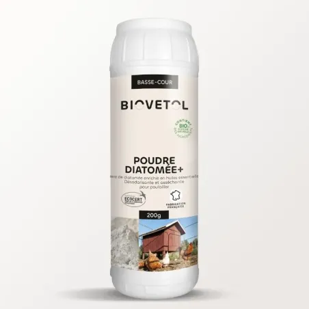 Diatomée +