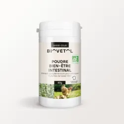 Poudre Bien-être Intestinal