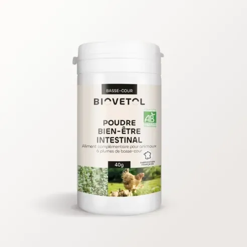 Poudre Bien-être Intestinal