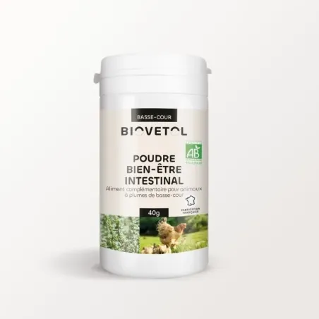 Poudre Bien-être Intestinal