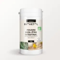 Poudre Bien-Être Intestinal pour Oiseaux