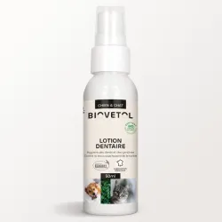 copy of Lotion Dentaire