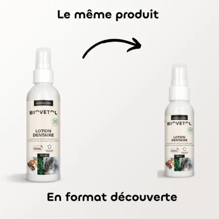 copy of Lotion Dentaire