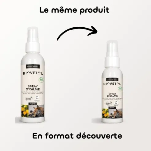 Parfum d’Ambiance Relaxant – 50 ml