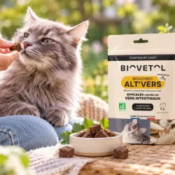 copy of Poudre ALT'VERS Grand chat Bio*** 2