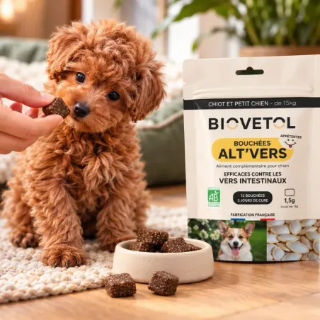 Bouchées Alt'Vers pour Petit Chien bio – Lot 3 ambassadeur