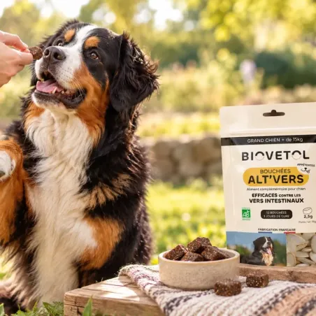 Bouchées Alt’Vers pour Grand Chien – Lot 2 ambassadeur