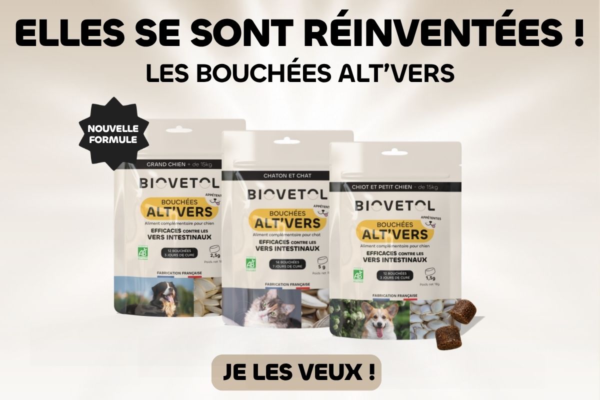 alt Code bienvenue