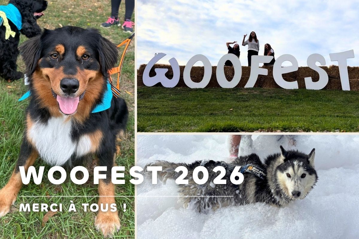 alt woofest