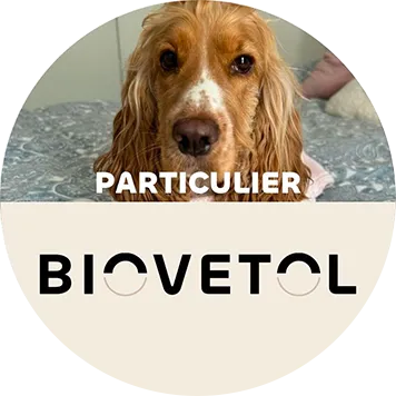 Espace contact pour les particuliers