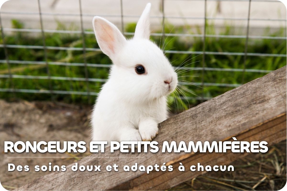 Des produits pour Rongeurs et Petits mammif&egrave;res Lapin